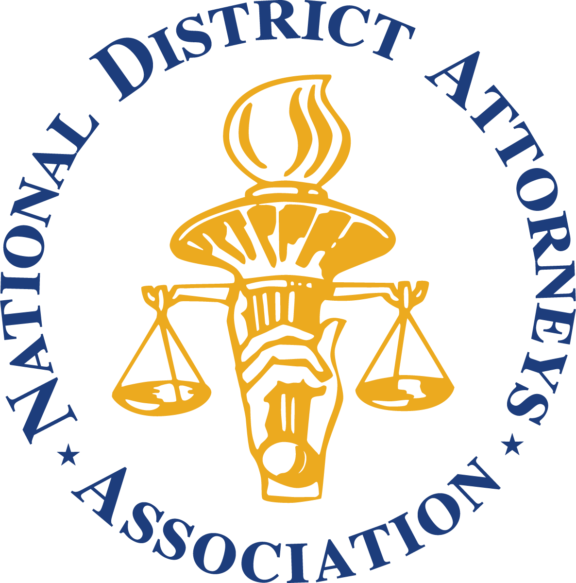 NDAA logo_2 color_white fill_PMS